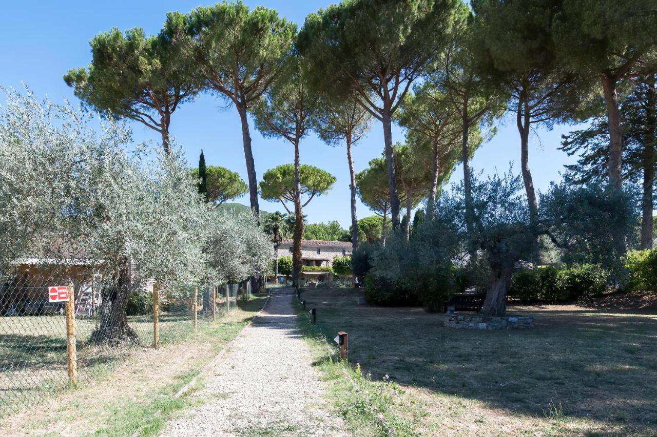 Dolce Far Niente Apartment With Pool & Parking Passignano sul Trasimeno Bagian luar foto