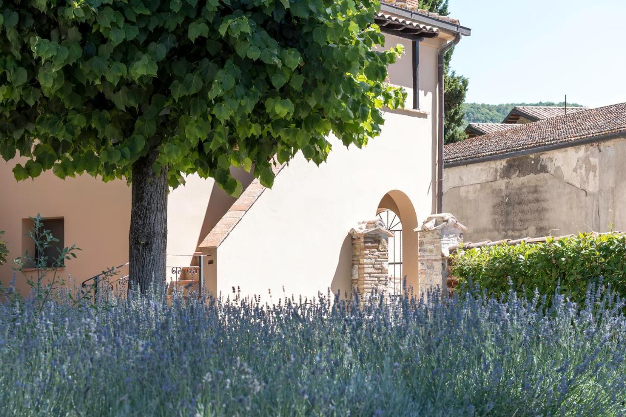 Dolce Far Niente Apartment With Pool & Parking Passignano sul Trasimeno Bagian luar foto